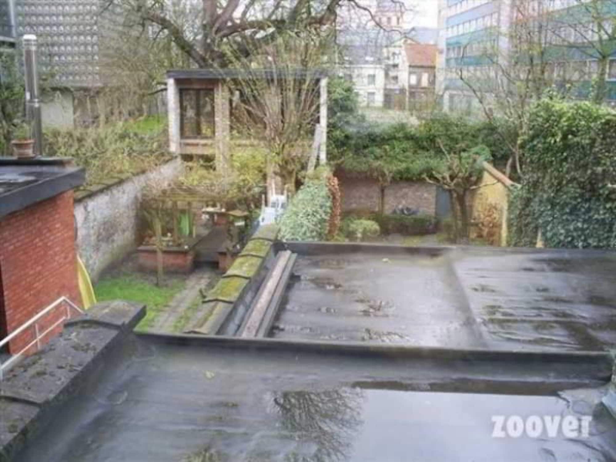 B&B Sparrow'S Nest Gent Bagian luar foto